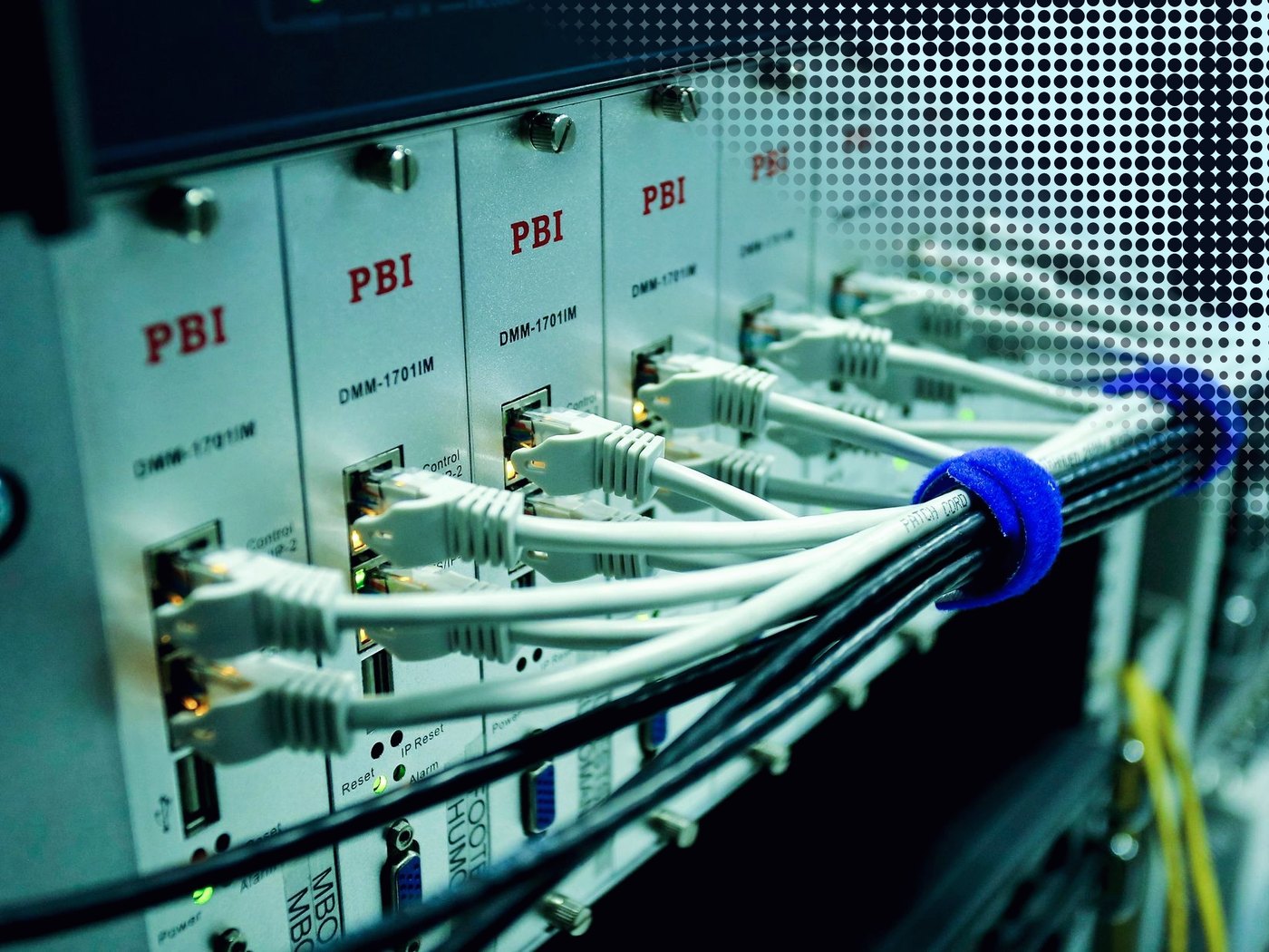 Cables de red conectados a un switch